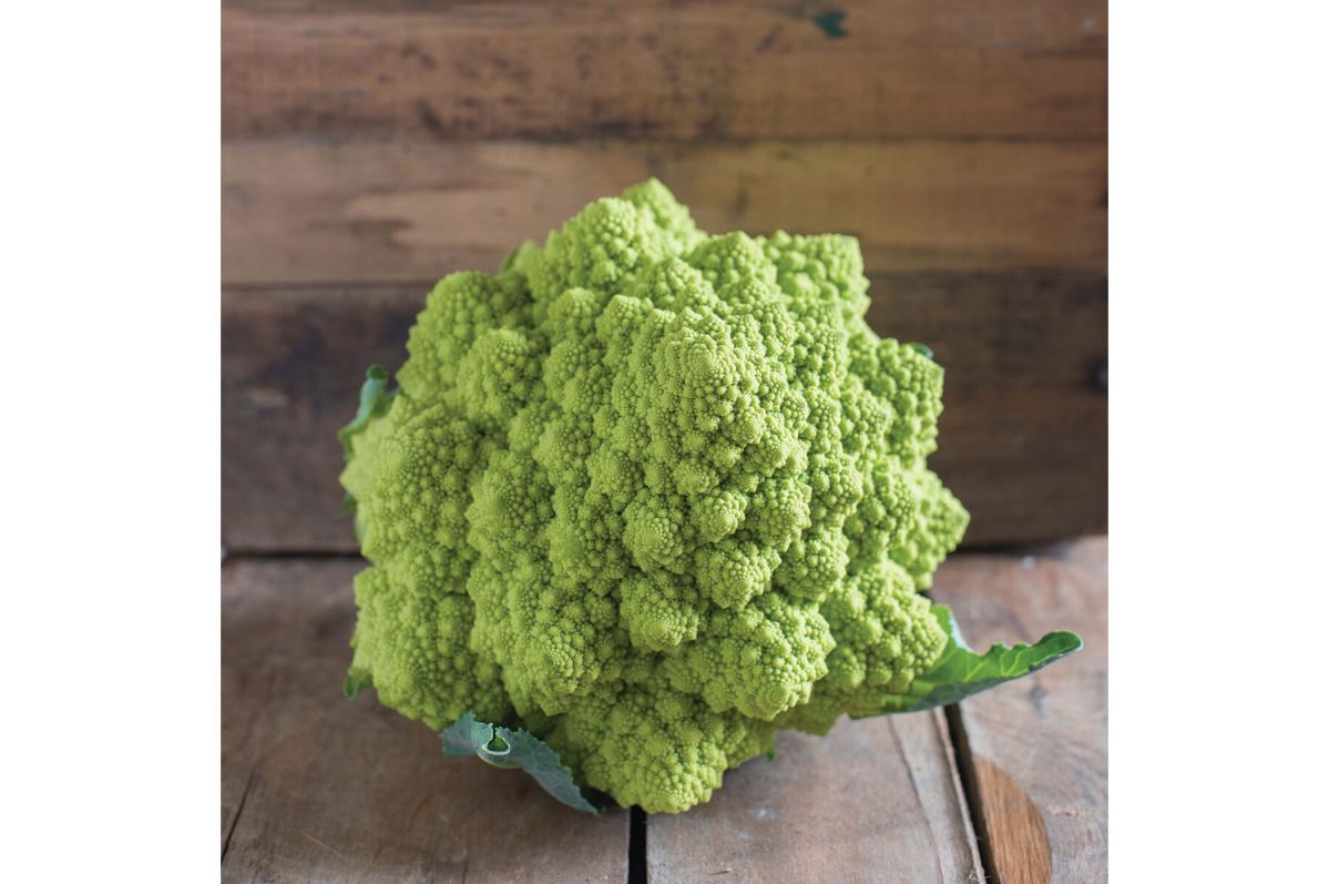 Puntoverde AKA 26-701 – Cauliflower Seed